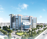 Department of International Services