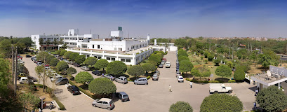 Department of International Services