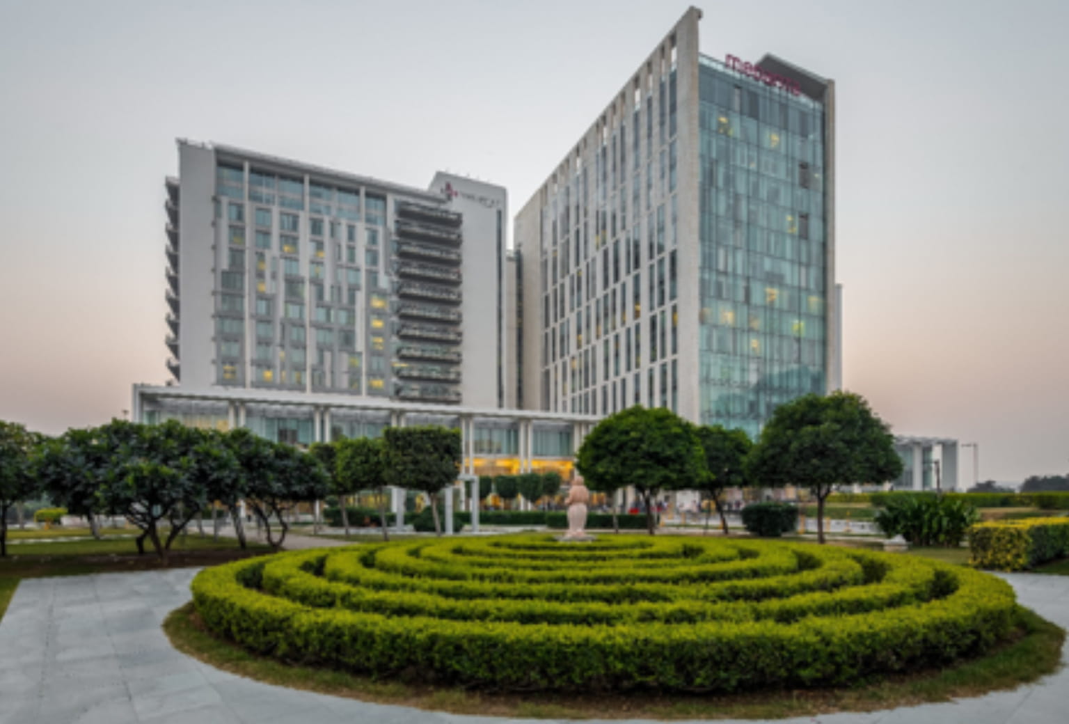 Department of International Services